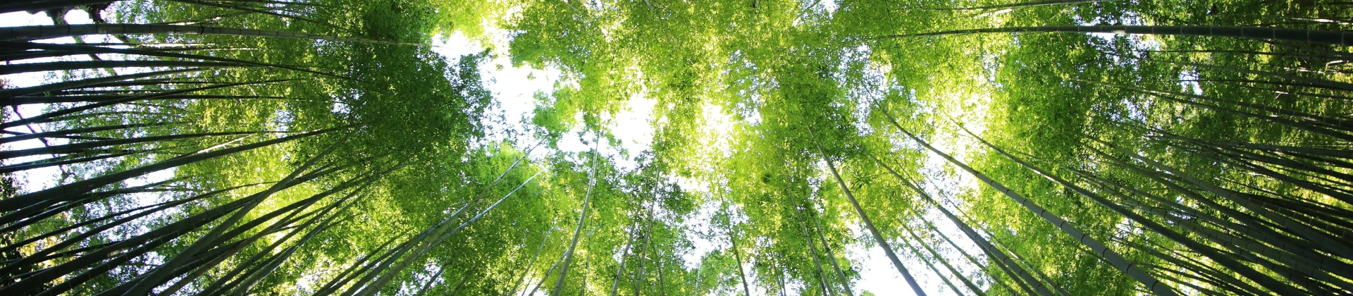Environment