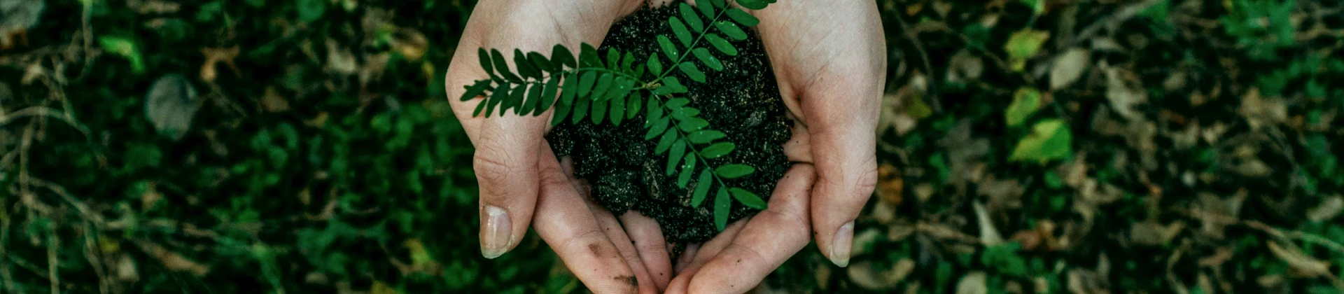 Sustainable development - banner